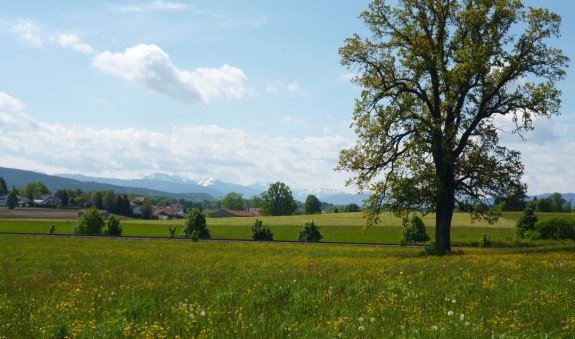 Holzkirchner Abendrunde, © Markt Holzkirchen