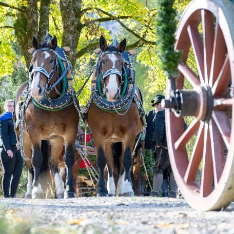 TTT_1124_TP_Brauchtum_Leonhardi_Kreuth_0082, © Thomas Plettenberg TTT_1124_TP_Brauchtum_Leonhardi_Kreuth_0082, © Thomas Plettenberg