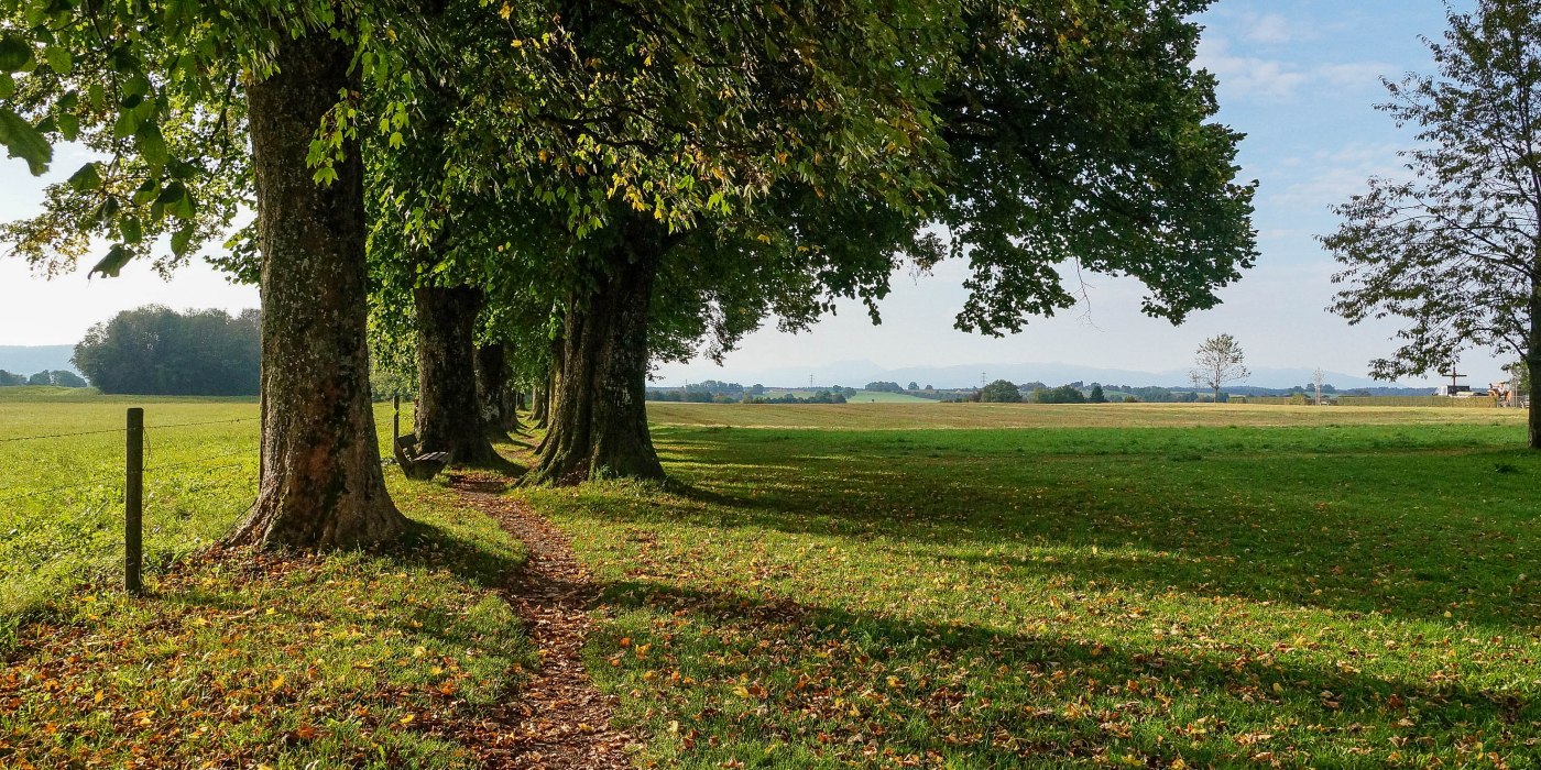 lightroom-68-von-108