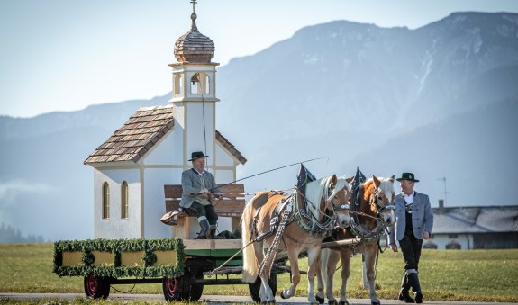 IMG_9027, © Uli Hänelt IMG_9027, © Uli Hänelt