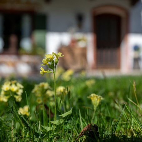 https://images.bs.ds-srv.net/objekt_pics/obj_full_28178_031.jpg, &copy; im-web.de/ Kur- und Tourist-Info Bayrischzell
