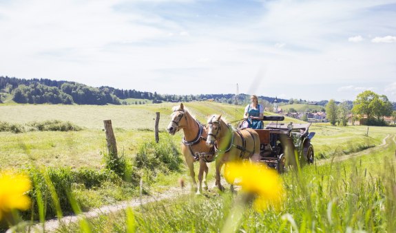 Kutschfahrt_SchlierseeWeb