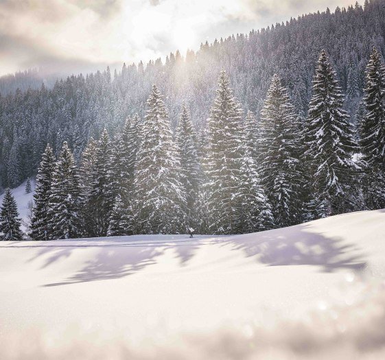 Winterstimmung Oberbayern, © Dietmar Denger