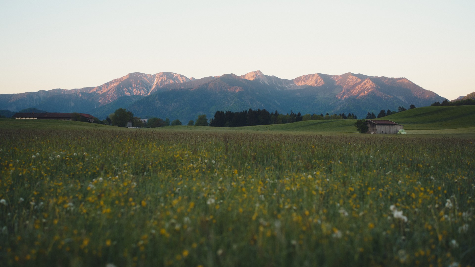 Fr&uuml;hling Leitzachtal