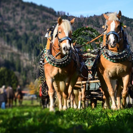 Leonhardifahrt Oberbayern Schliersee, © Florian Liebenstein