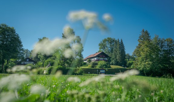 Holz_Wanderung &copy; Der Tegernsee_Dietmar Denger (2), &copy; Dietmar Denger