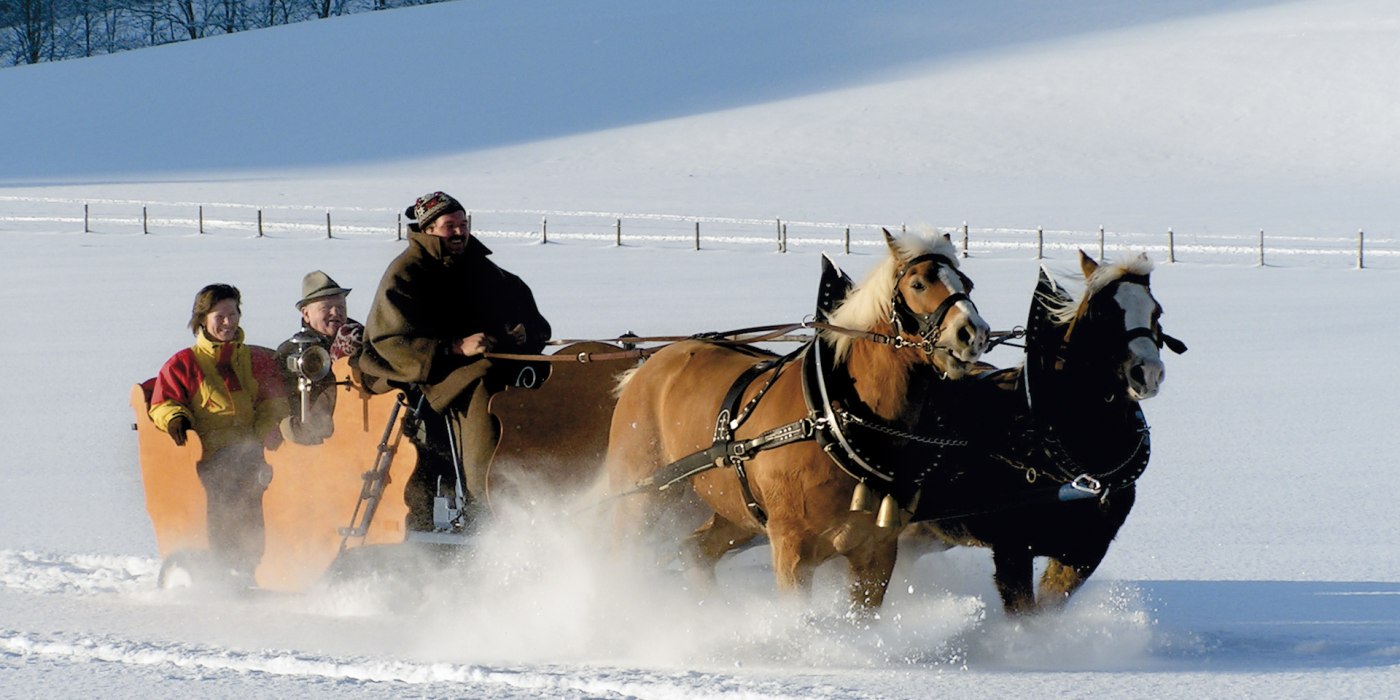 Pferdeschlittenfahrten_Sprenger.jpg Pferdeschlittenfahrten_Sprenger.jpg