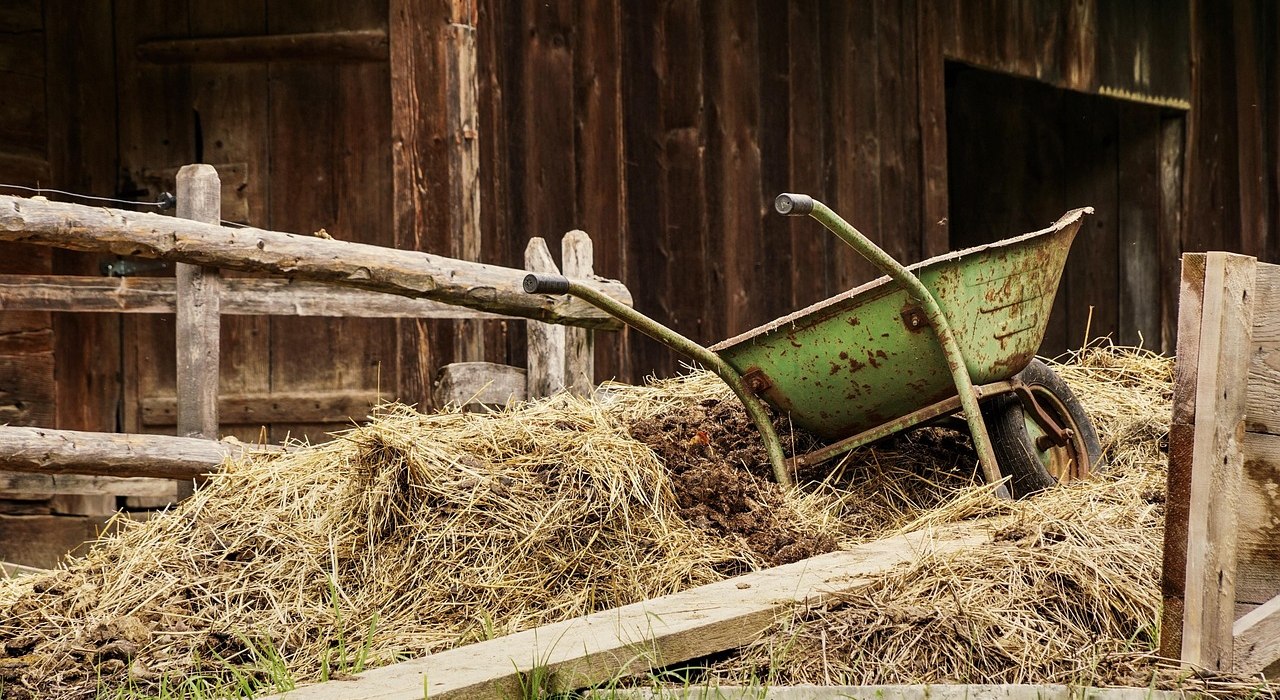 barn-4460490_1280_bettlhochzeit