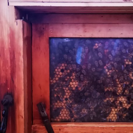 Lehrbienenstand_Gmund_7, &copy; DER TEGERNSEE I. Munstermann