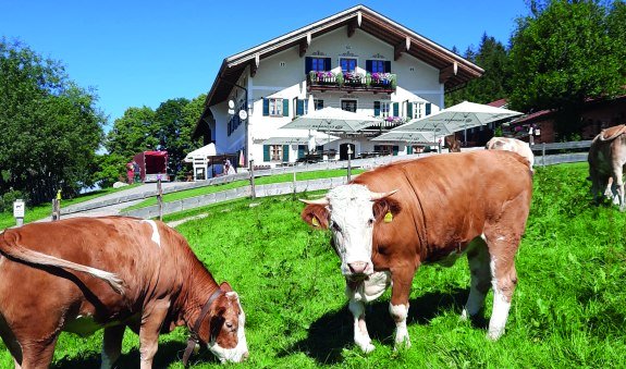 Bergcafe Siglhof EKF, © Winkler