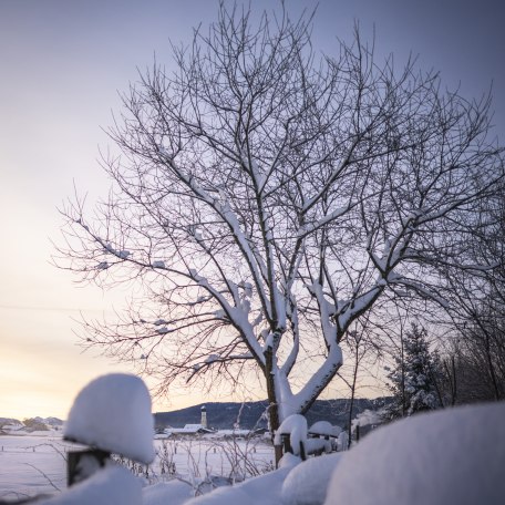 Nordgemeiden Winter, © Dietmar Denger