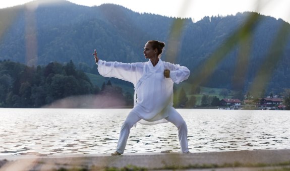 Qi  Gong