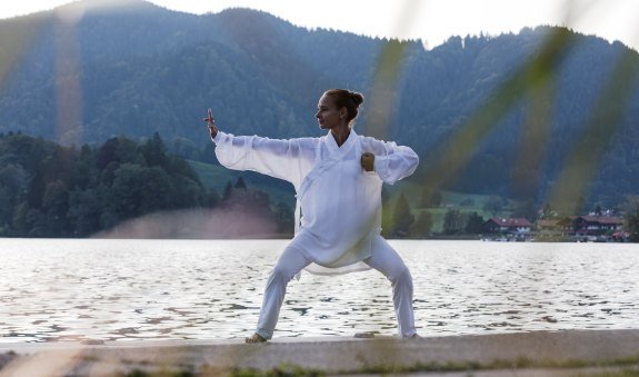 Qi  Gong