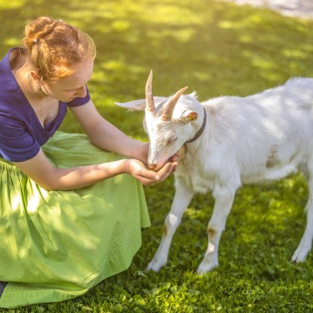 Ziege mit Sophie, © im-web.de/ Gäste-Information Schliersee in der vitalwelt schliersee
