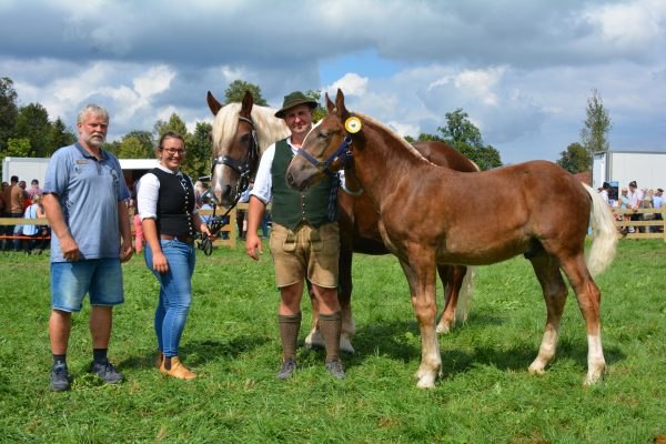 fohlenauktion, &copy; Landesverband Bayerischer Pferdez&uuml;chter