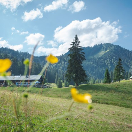 musischwarzentennalm, © Der Tegernsee (Dietmar Denger) musischwarzentennalm, © Der Tegernsee (Dietmar Denger)