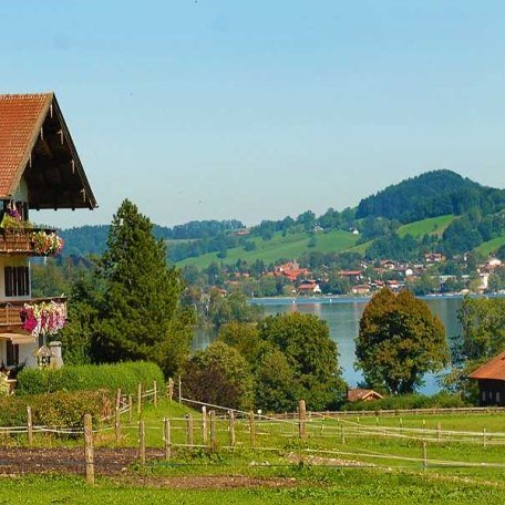Ausblick vom Hof, © im-web.de/ Gäste-Information Schliersee in der vitalwelt schliersee