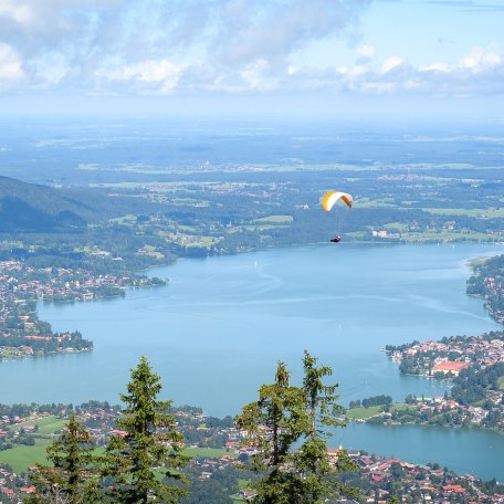 wallberg_fotograf_gisela-schregle_140804_15, &copy; &copy; Gisela Schregle