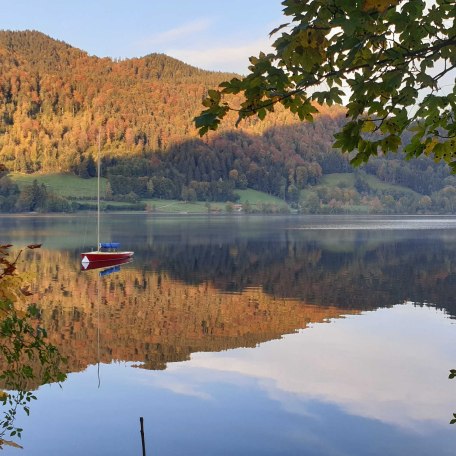 Herbststimmung, © C.Hasenöhrl