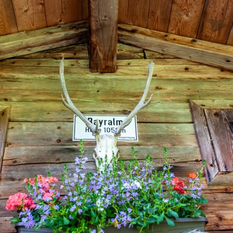 Bayralm Kreuth, © DER TEGERNSEE Bayralm Kreuth, © DER TEGERNSEE