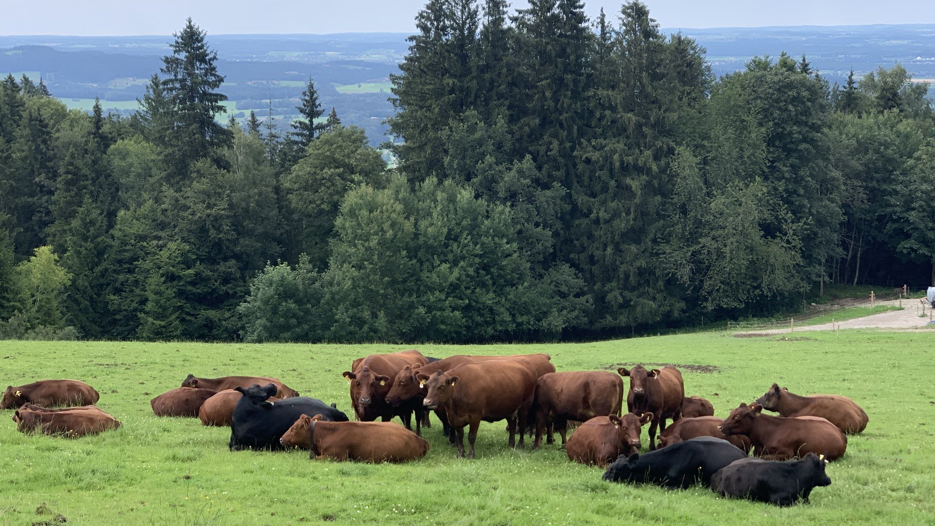 Gut Engelsberg EKF
