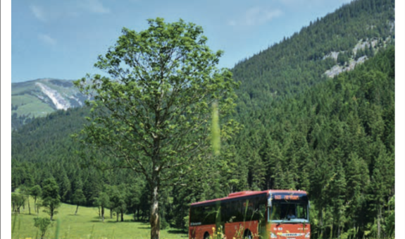 Busfahren