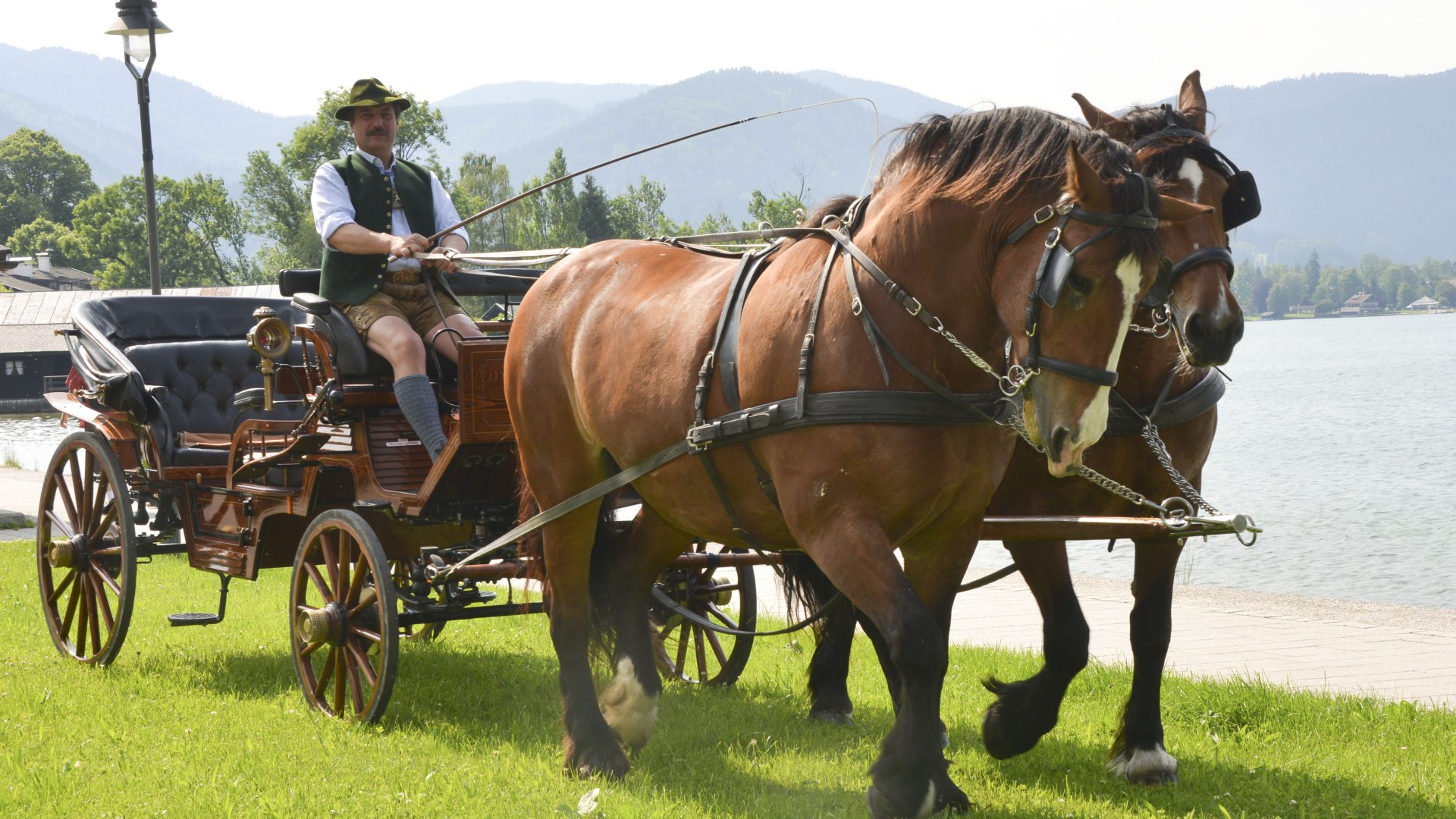 150612_fischerweber_kutsche_013 150612_fischerweber_kutsche_013