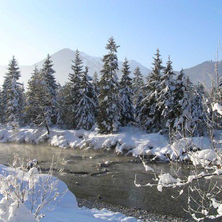 In der Weißachau, © R. Wolf