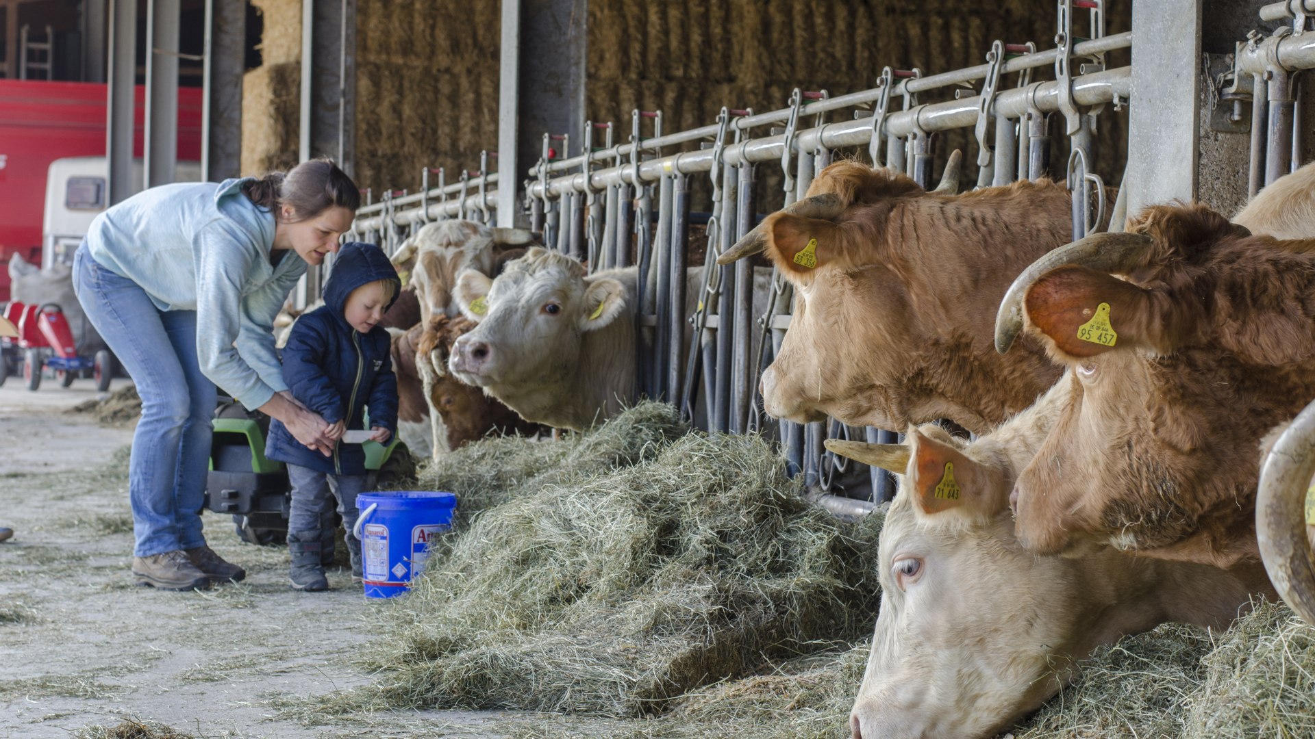 Direktvermarktung Eberharter EKF