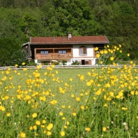 Blühende Wiesen, © im-web.de/ Tourist-Information Bayrischzell
