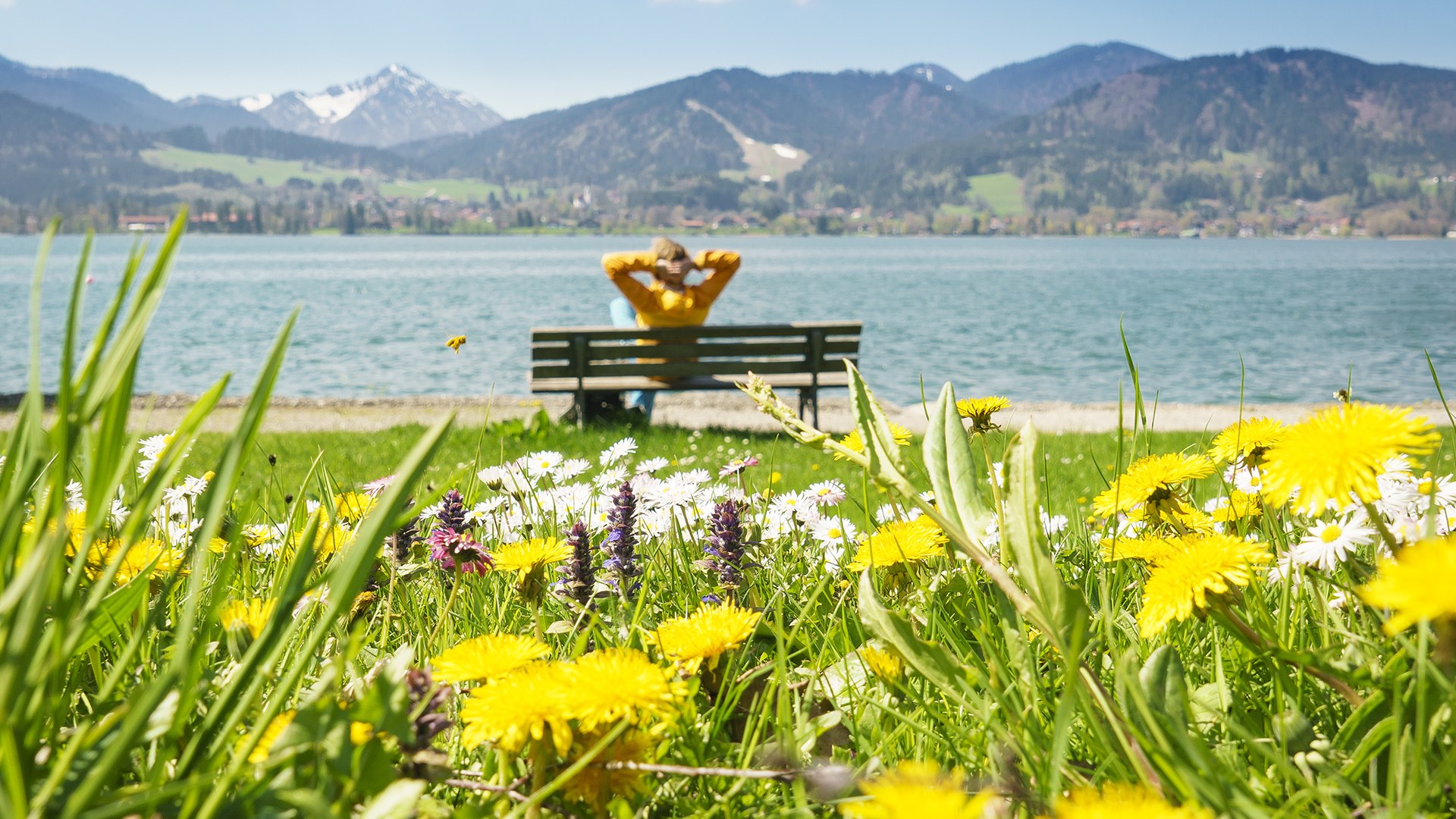 Entspannen am Tegernsee im Frühling, © Dietmar Denger Entspannen am Tegernsee im Frühling, © Dietmar Denger