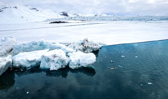 copyright JACKSCORNER1