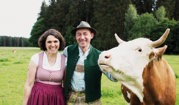 Hairerhof Wall EKF Hairerhof Wall EKF