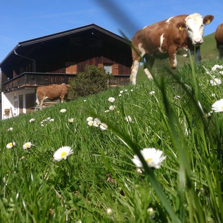 Ansicht von Osten, © im-web.de/ Gäste-Information Schliersee in der vitalwelt schliersee