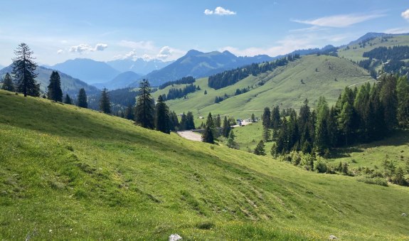 Ausblick zum Sudelfeld, © Alpenregion Tegernsee Schliersee Ausblick zum Sudelfeld, © Alpenregion Tegernsee Schliersee