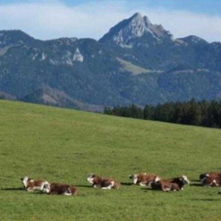 Vom Schlafzimmer mit Wendelsteinblick vom Balkon aus, © im-web.de/ Gäste-Information Schliersee in der vitalwelt schliersee