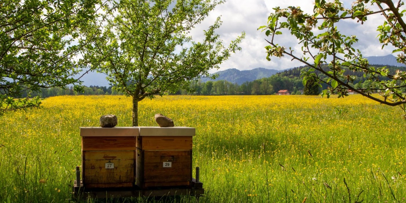 IMG-20220517-WA0002, &copy; G. Biechl