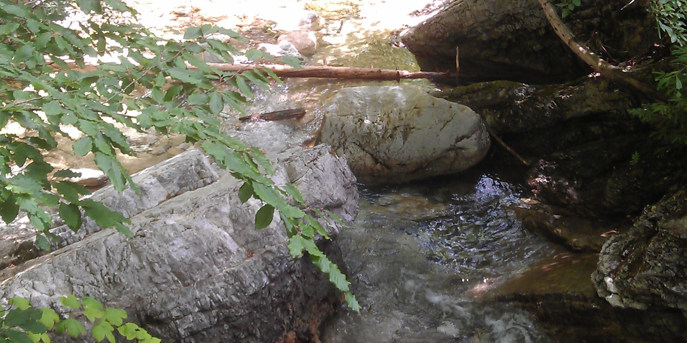 Willy_WasserfallMAG0695.jpg Willy_WasserfallMAG0695.jpg
