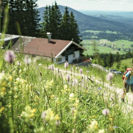 Wandern Fischbachau Tegernsee Schliersee, © Dietmar Denger