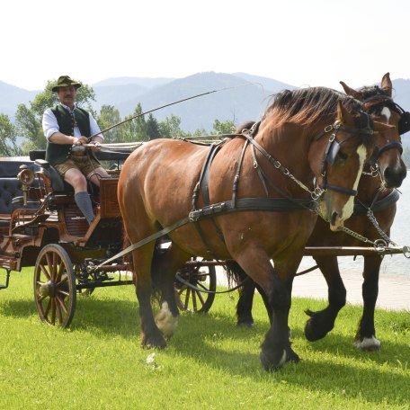 150612_fischerweber_kutsche_013 150612_fischerweber_kutsche_013