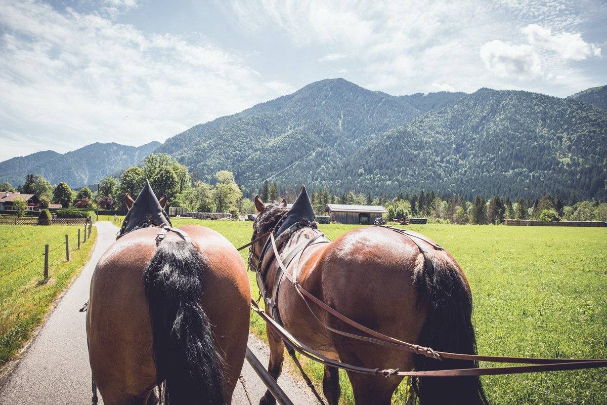 TTT_0619_MM_Brauchtum_Pferdekutschenfahrt_Rottach-0005, © DER TEGERNSEE TTT_0619_MM_Brauchtum_Pferdekutschenfahrt_Rottach-0005, © DER TEGERNSEE