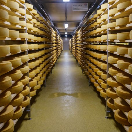 lightroom-96-von-108-1 lightroom-96-von-108-1