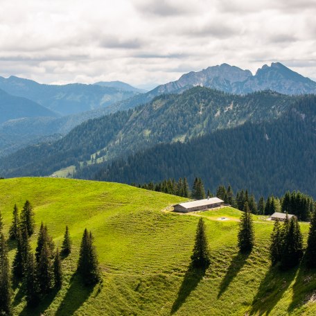 Gams_Wallberg_Rottach &copy; Der Tegernsee, Sabine Ziegler-Musiol, &copy; Sabine Ziegler-Musiol