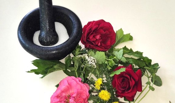 Wildkraeuterwanderung mit Kraeutersalz im Kurpark Wildkraeuterwanderung mit Kraeutersalz im Kurpark