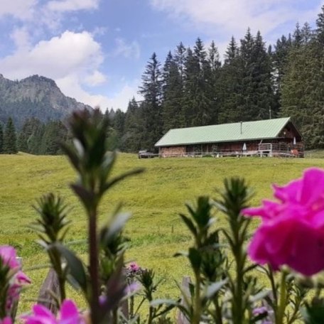 Hauseigene Alm Schwarzetenn, © Gästehaus Kleinbuch