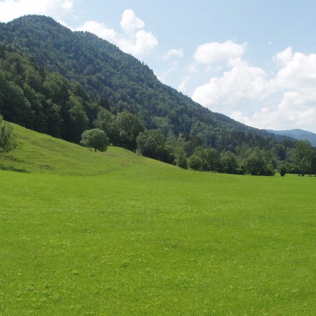 Ihre Aussicht von der Terrasse, © im-web.de/ Regionalentwicklung Oberland Kommunalunternehmen