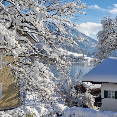 Blick vom Ost-Balkon auf den See im Winter, © Ferienwohnung Auszeit am See