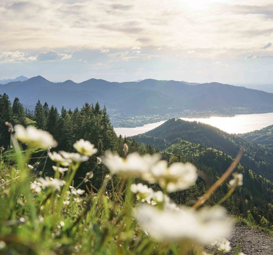 Tegernsee Bayern, © Dietmar Denger