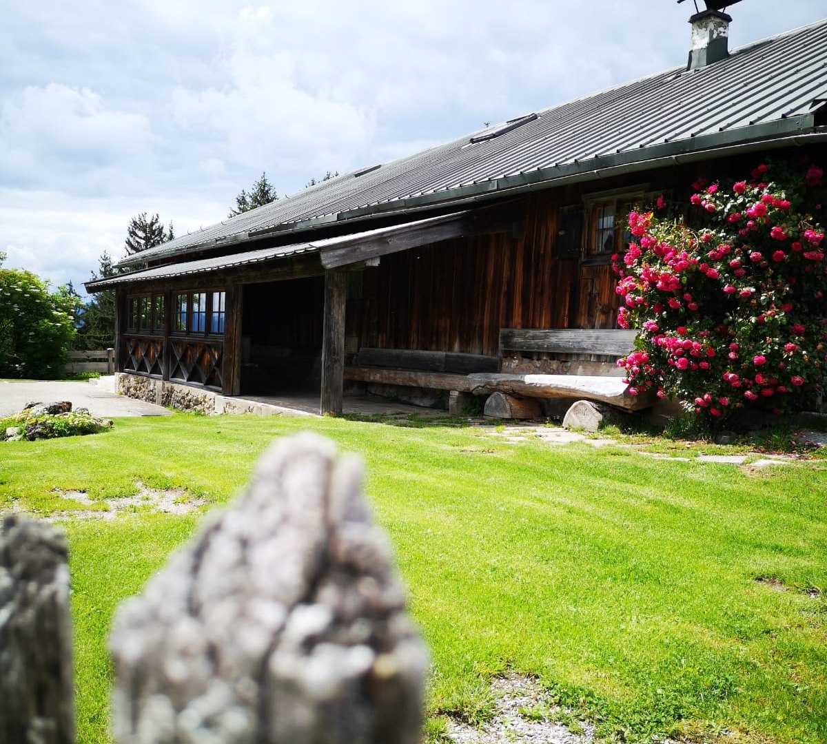 der-tegersee-stefanie-pfeiler
