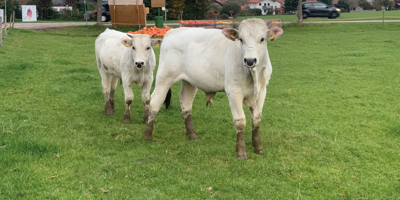 Lukasschusterhof EKF Lukasschusterhof EKF